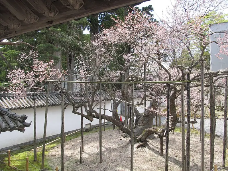 瑞巌寺